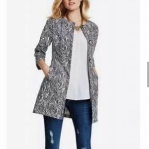 CAbi zigzag coat